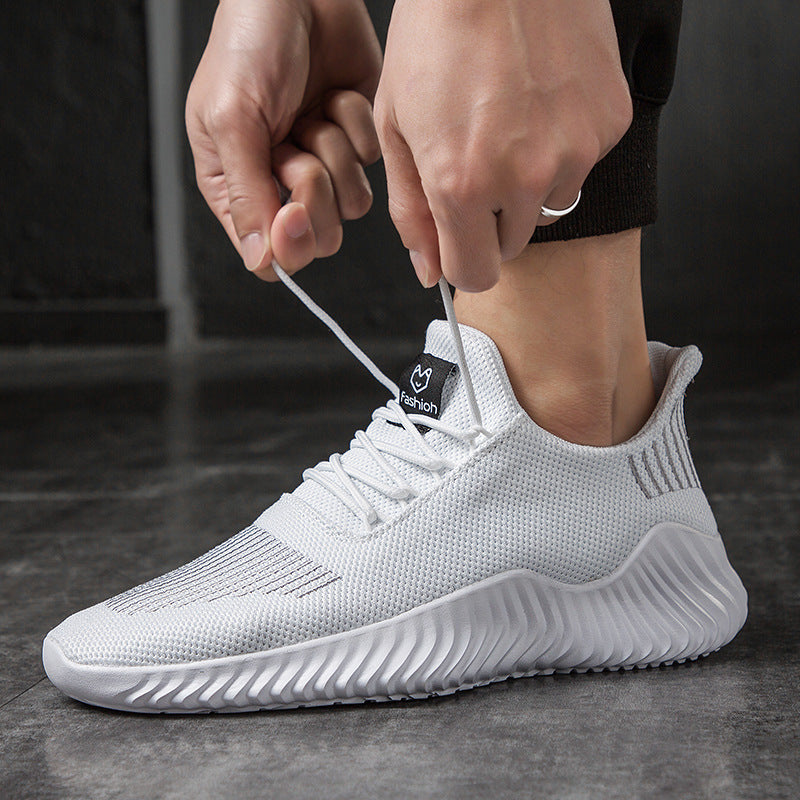VELOCITY PERFORMANCE TRAINER