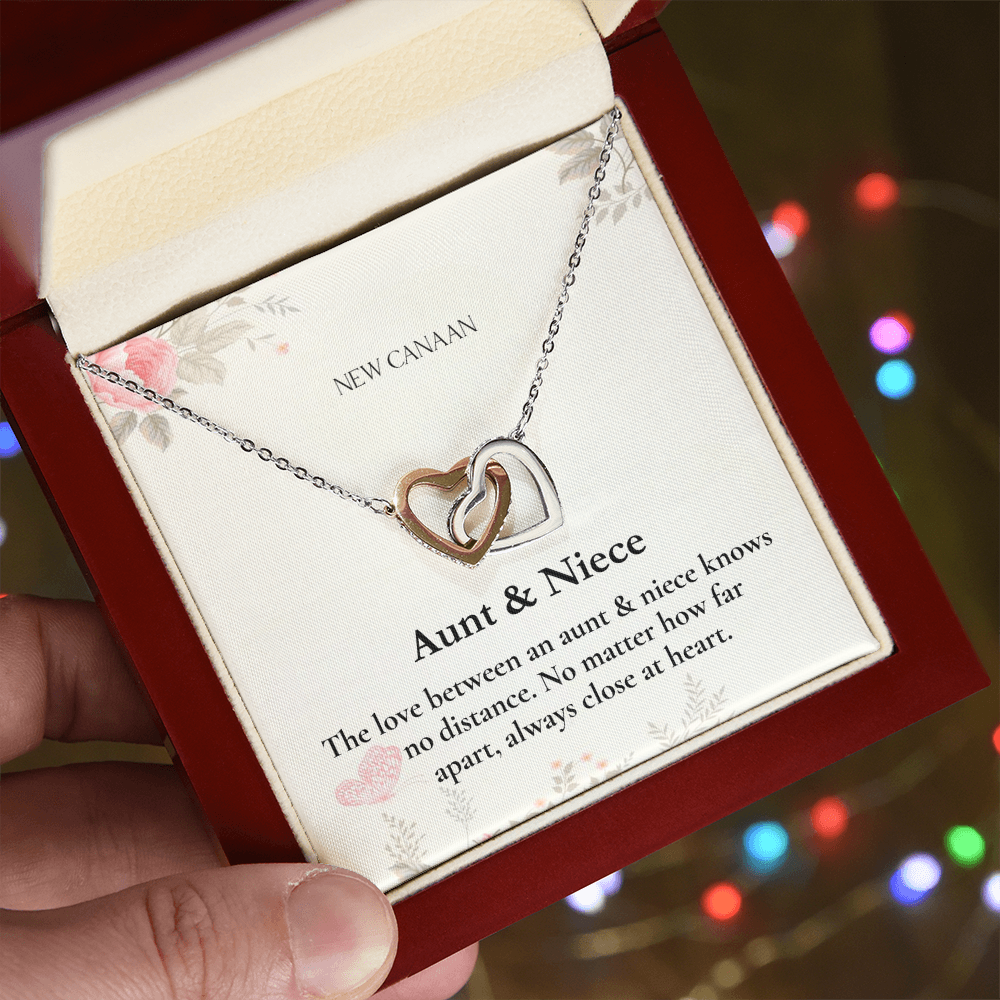 THE AUNT & NIECE BOND NECKLACE