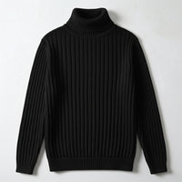 HUDSON RIBBED TURTLENECK