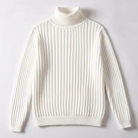 HUDSON RIBBED TURTLENECK